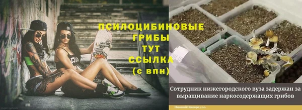 ешки Волосово