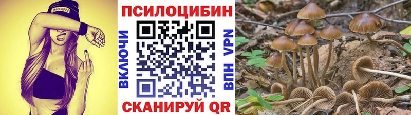 Галлюциногенные грибы мухоморы  Абакан 